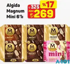 MAGNUM MİNİ DONDURMA 6'LI fiyat ve kampanya bilgisi